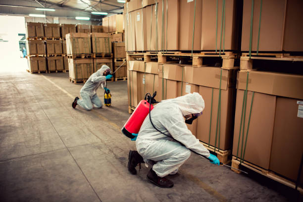 Flea Control Services in Hoffman Estates, IL